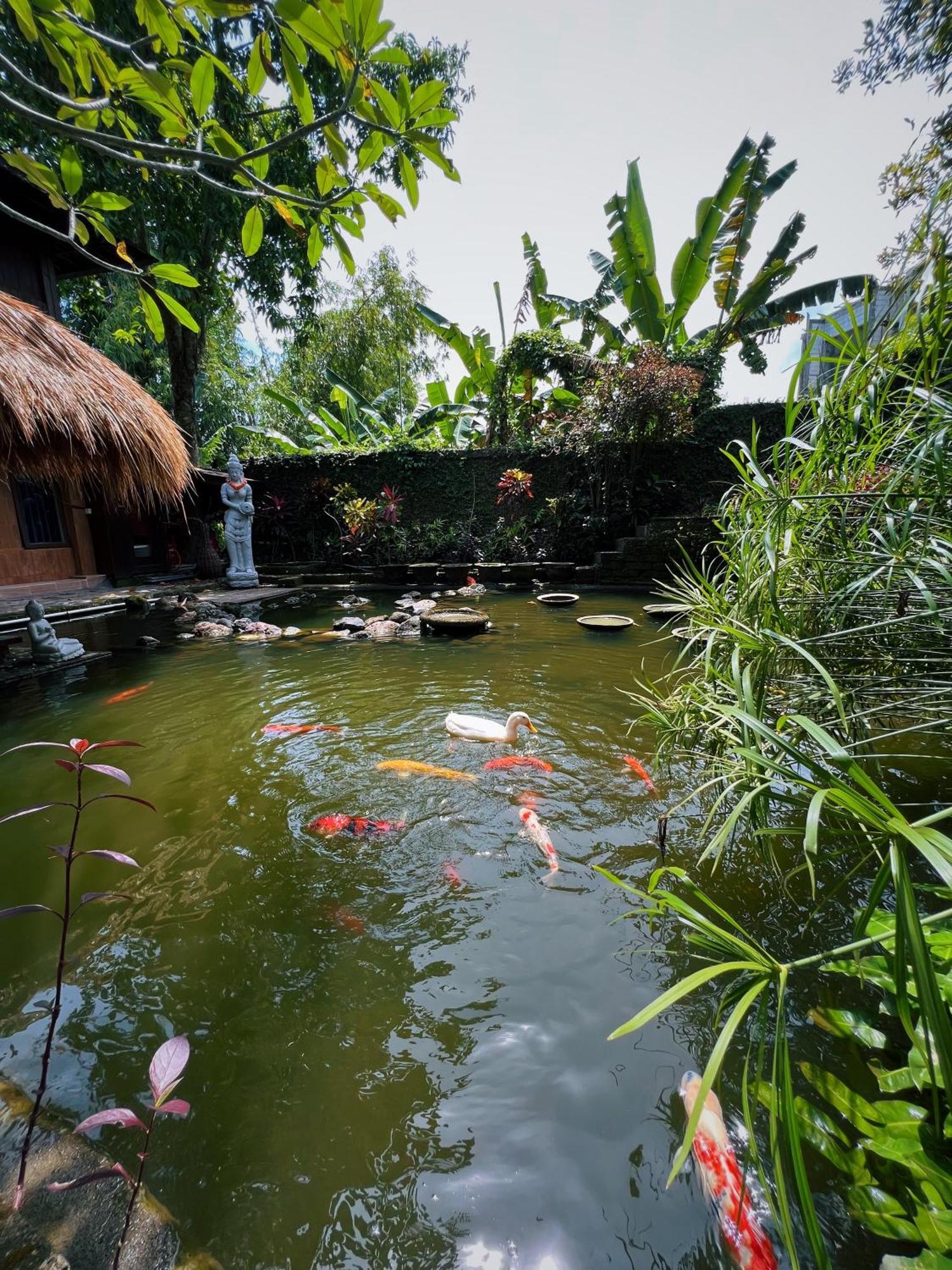 Villa Neshama Canggu Exteriör bild