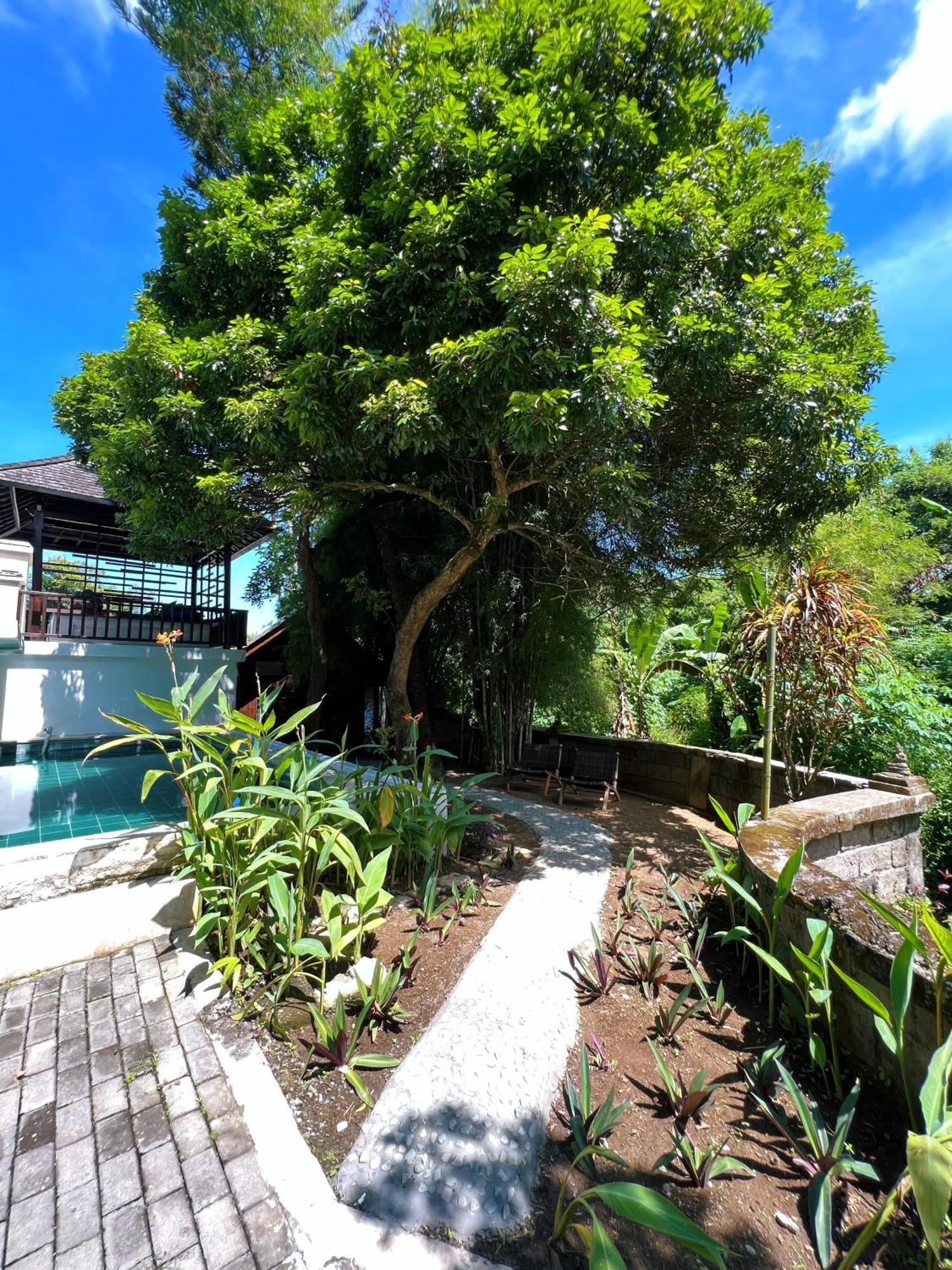Villa Neshama Canggu Exteriör bild