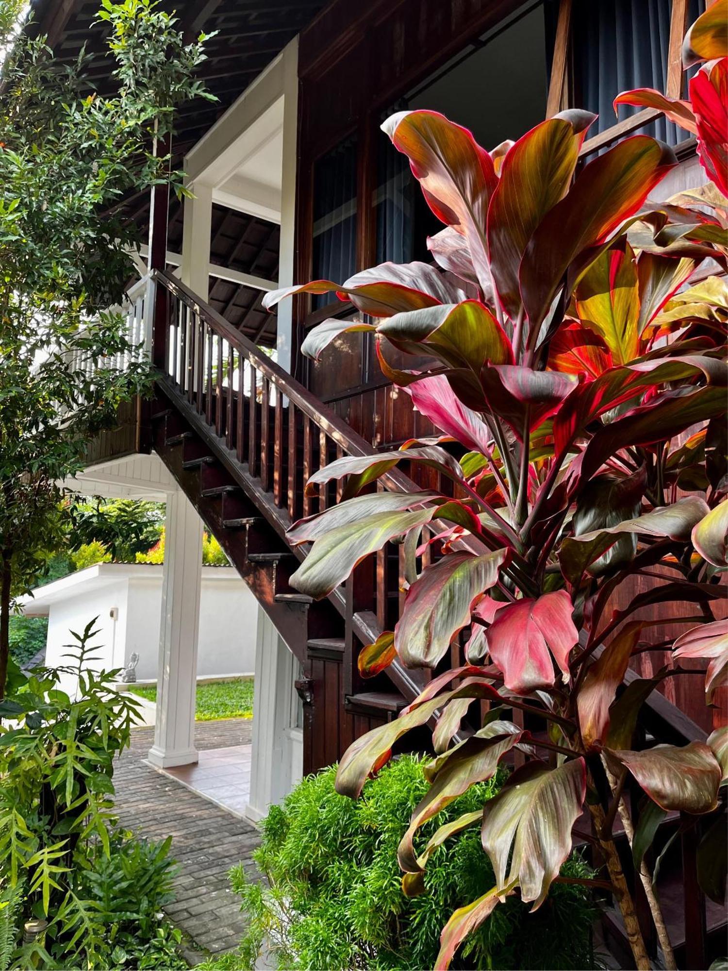 Villa Neshama Canggu Exteriör bild
