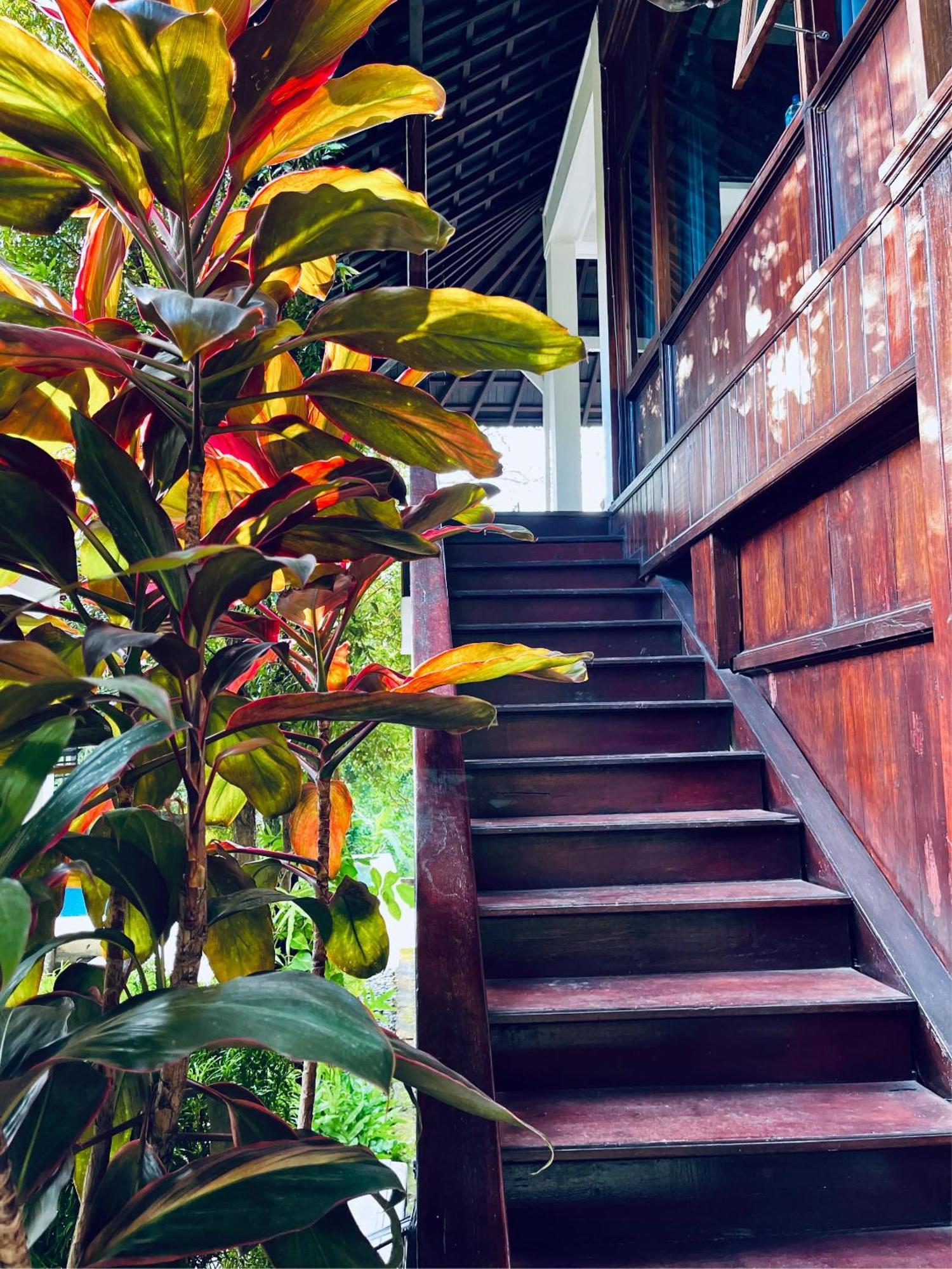 Villa Neshama Canggu Exteriör bild